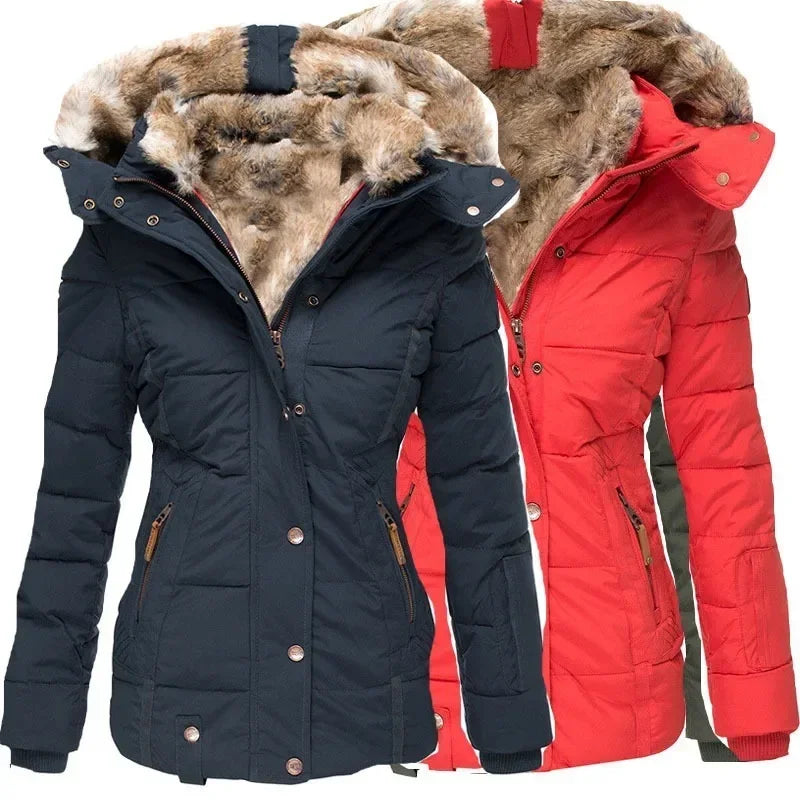 La veste la plus chaude pour l'hiver